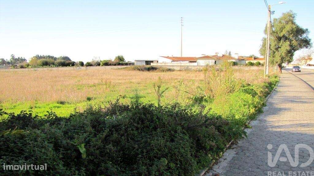 Terreno para construção em Oliveirinha de 9007,00 m2 - Grande imagem: 5/18