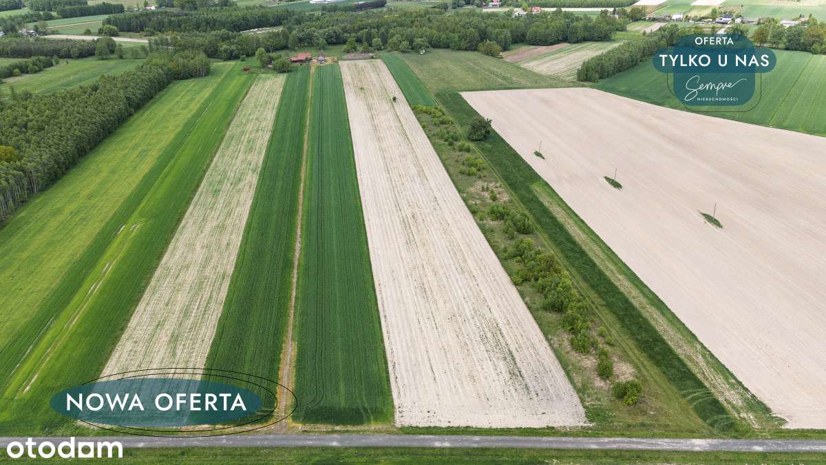 Działka rolna na sprzedaż - Pełny obrazek: 1/10