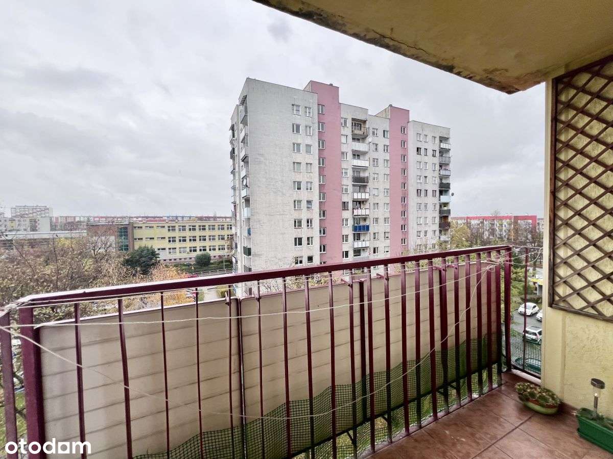 Cenowy Hit! 3 pokoje , 4500 zł/m² os. Kopernika - Pełny obrazek: 4/12