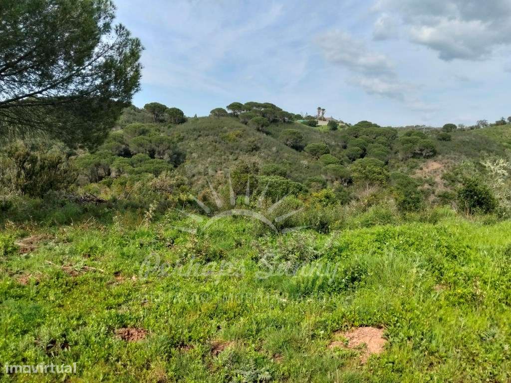 Terreno Rústico - Ademas - Grande imagem: 4/15