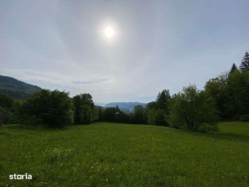 Vand urgent - Teren Scaricica, Pangaracior - Imagine principală: 4/6