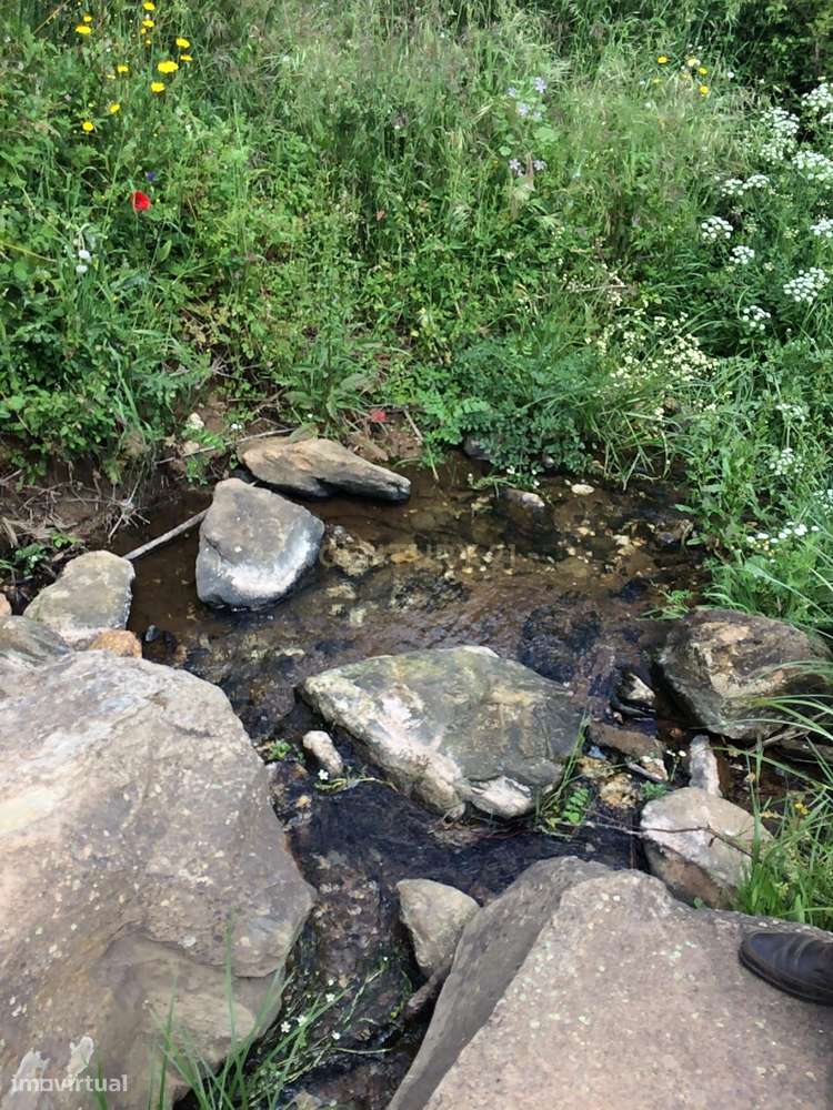 Herdade para Reconstrução em Azenha de Baixo 40 Hectares-5