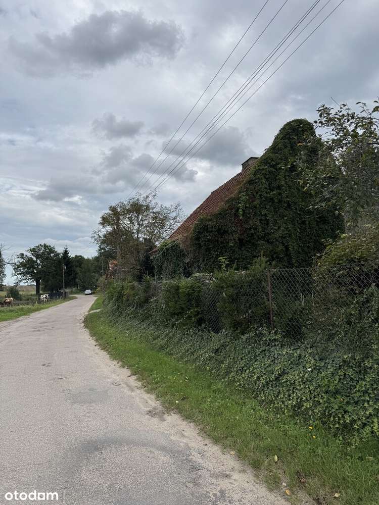 Mazury. Działka 3081 m2 Wola gm.Kozłowo, Nidzica-6