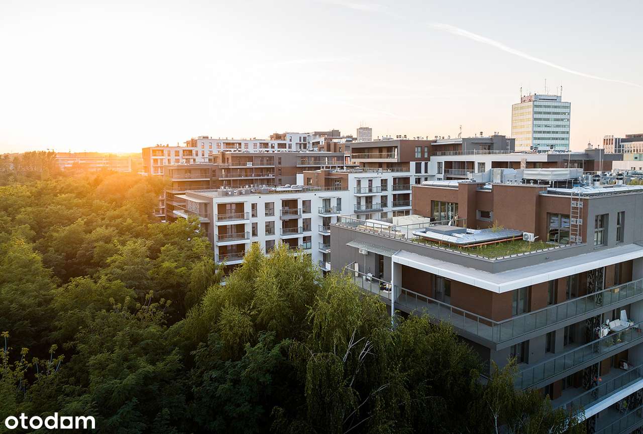 Francuska Park VII-5