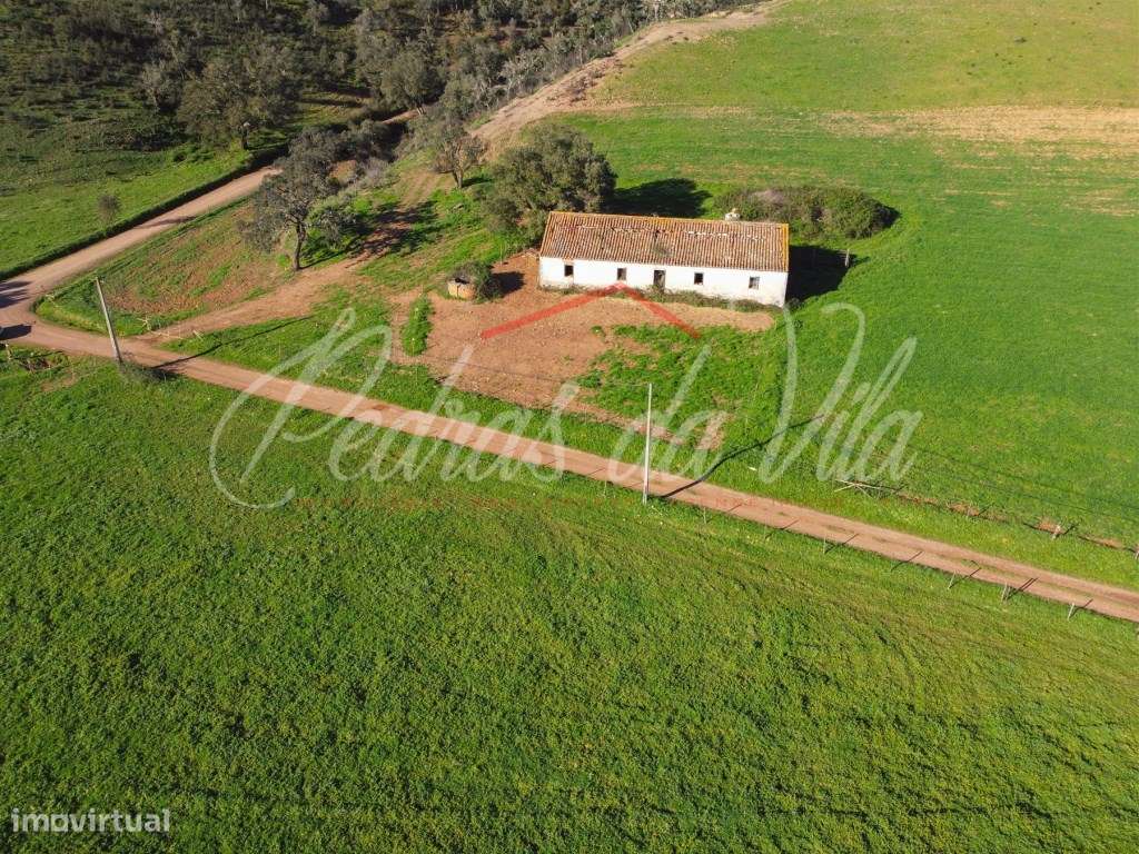 Monte Alentejano de 36ha com 3 ruinas - Pego das Pias - Odemira-26
