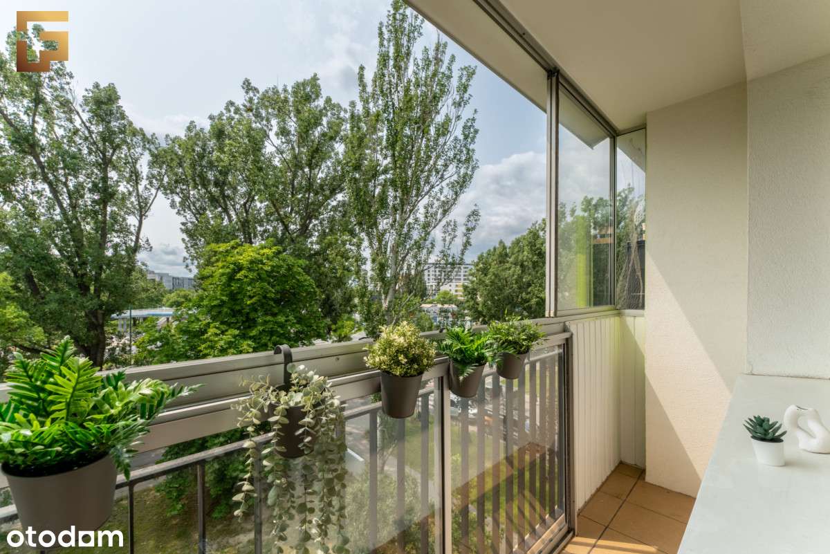 Idealne na start! Duży balkon, kuchnia po remoncie-10