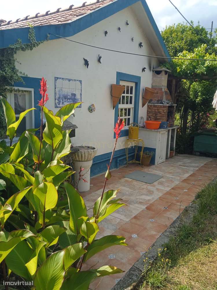 Quintinha - São Tomé de Covelas, Baião-8