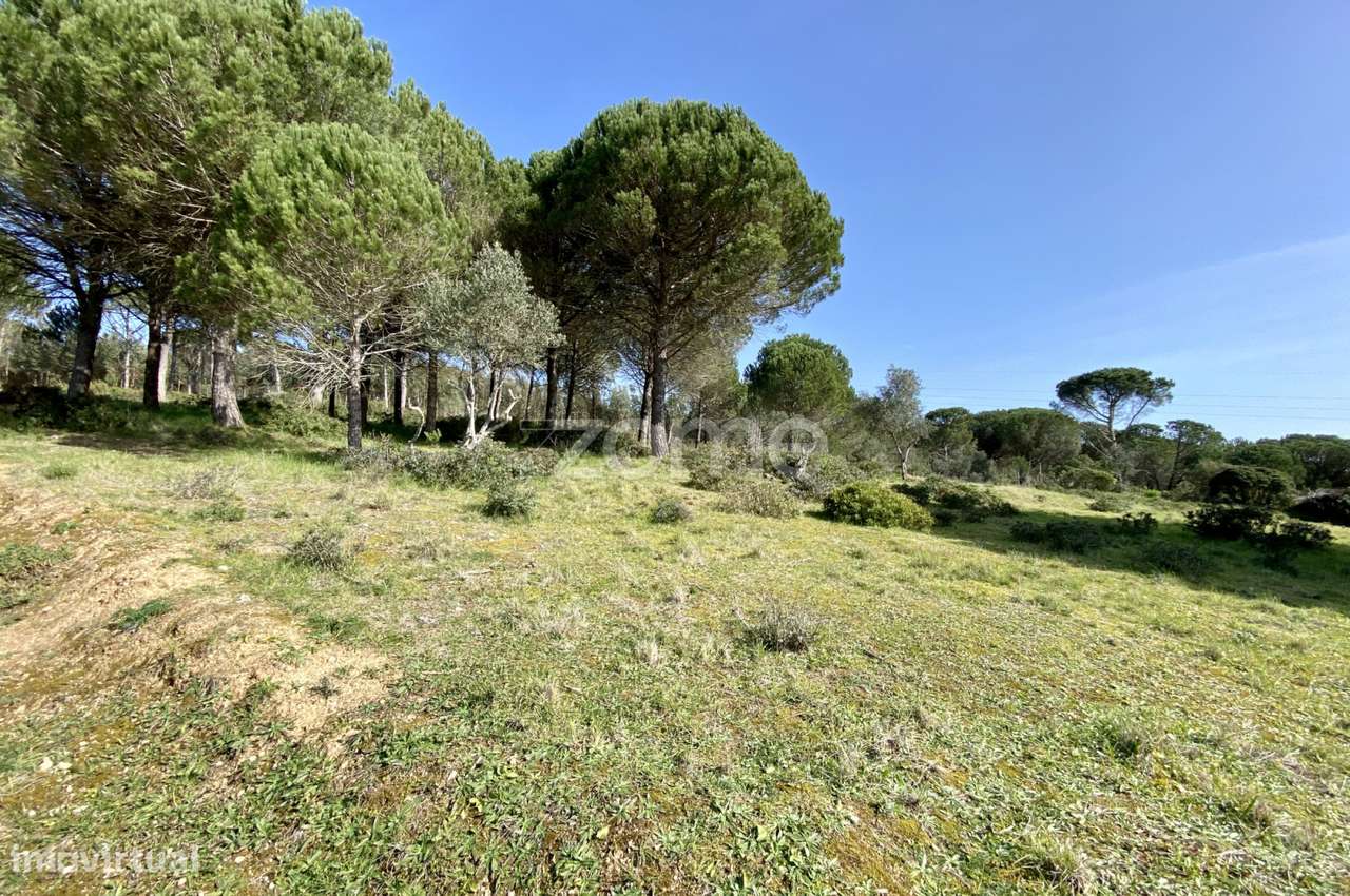 TERRENO | URBANIZÁVEL | VILA VERDE - Grande imagem: 4/23