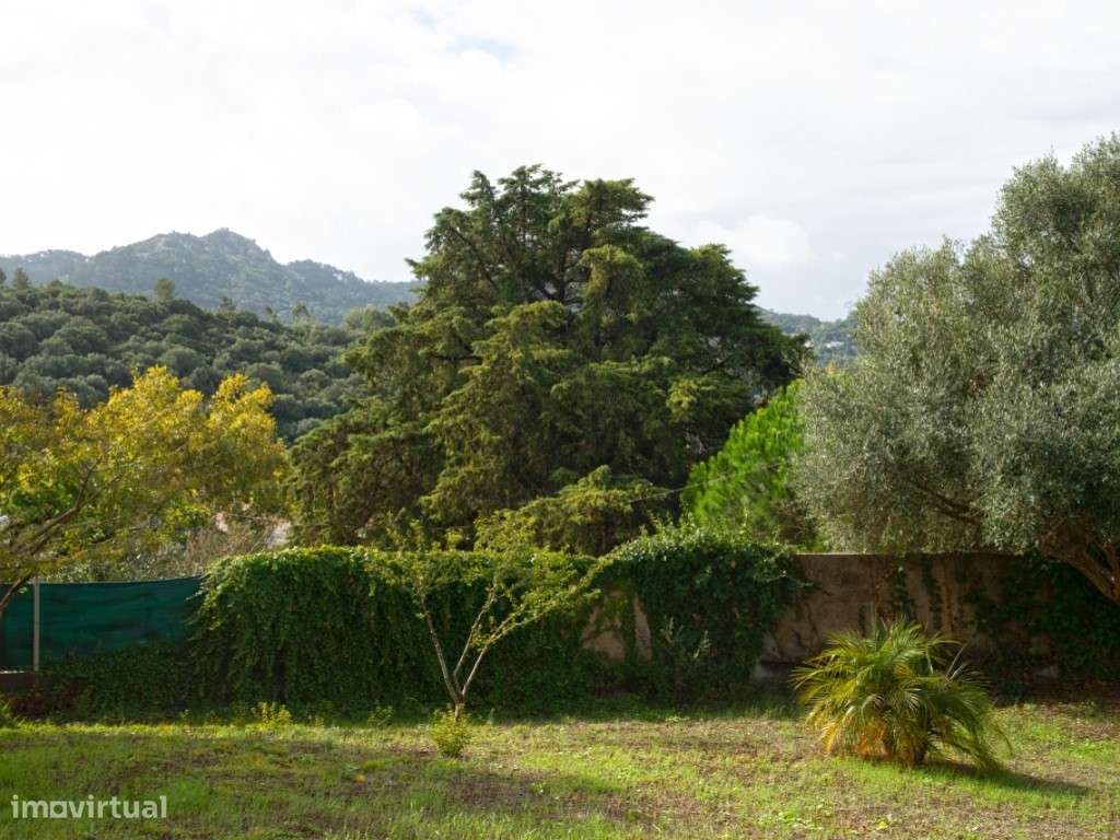 Moradia, jardim vista Serra, Cabriz-Sintra-30