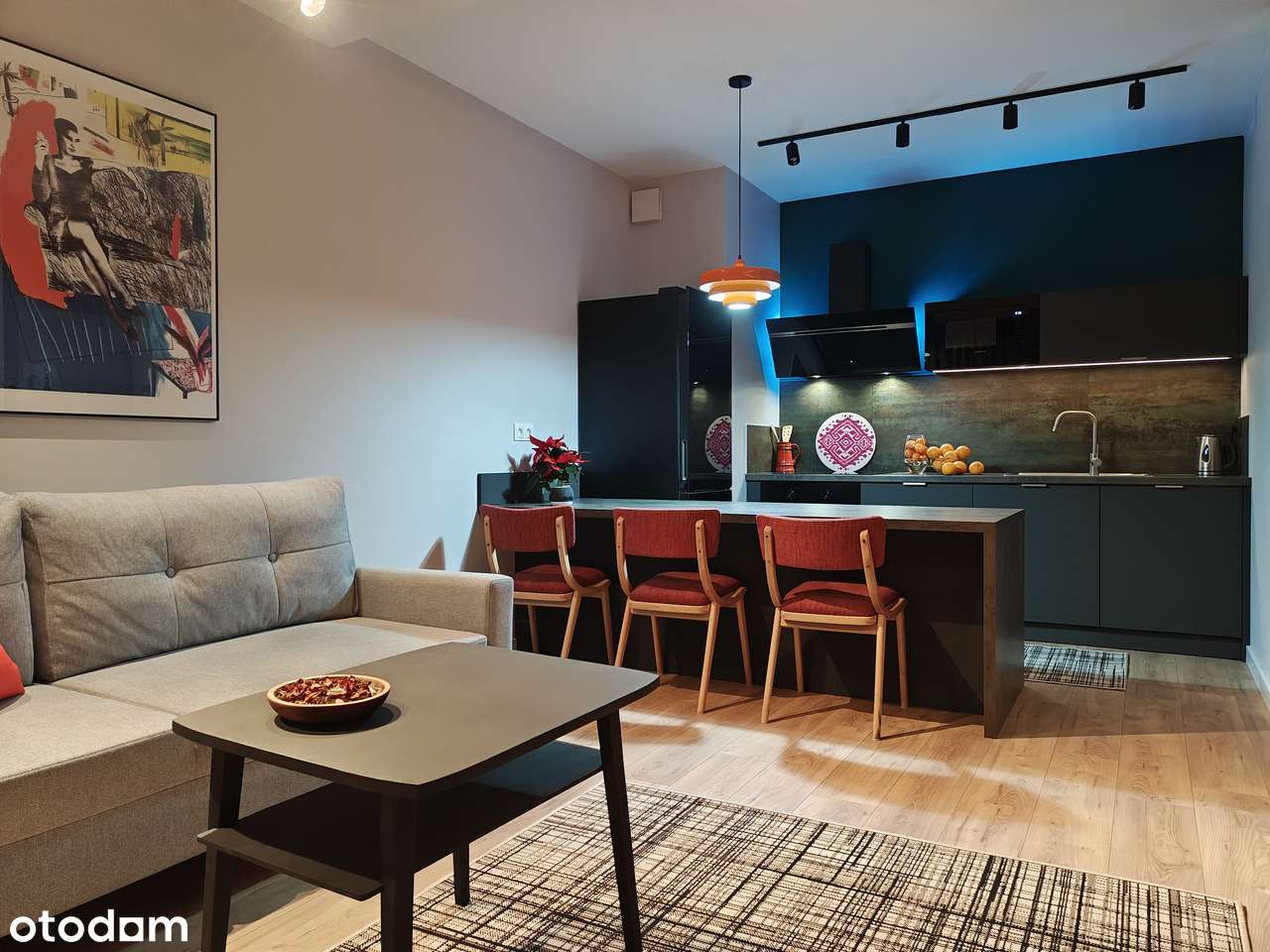 Sprzedam 42 m2 mieszkanie wykończone w wysokim standardzie - Pełny obrazek: 4/12