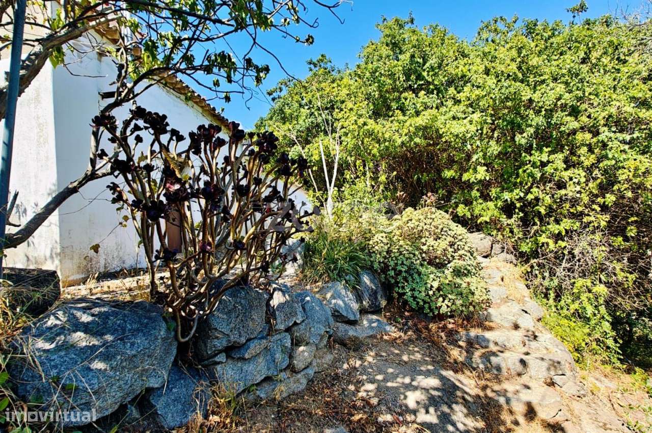 Moradia na Serra de Monchique com 1,3 ha de terreno e potencial T3 - Grande imagem: 4/35