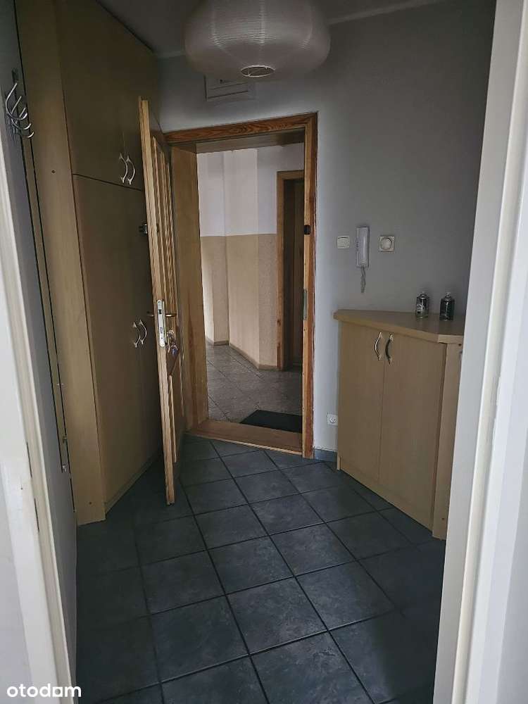 Do wynajęcia 2-pok mieszkanie Leszno ul.Ostroroga - Pełny obrazek: 5/9