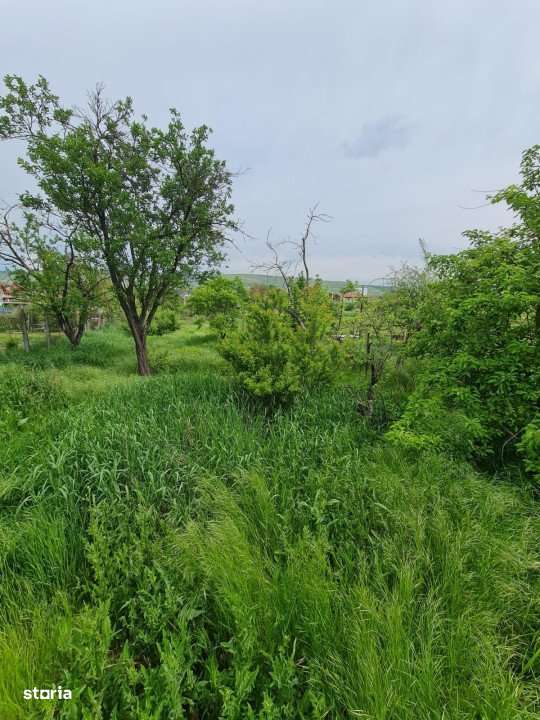 Teren pentru constructie de case sau duplexuri, Certificat de urbanism - Imagine principală: 2/2