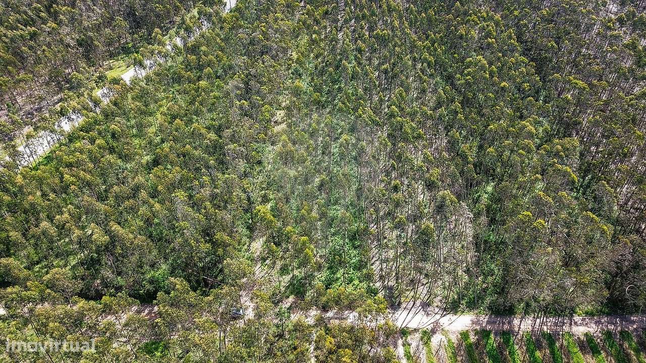 Terreno  para venda - Grande imagem: 5/8