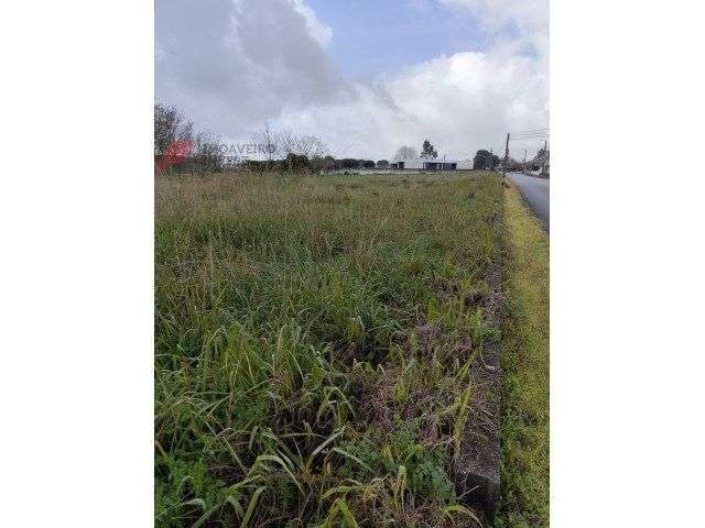 Terreno com possibilidade de construção no Vale da Marinha - Grande imagem: 3/3