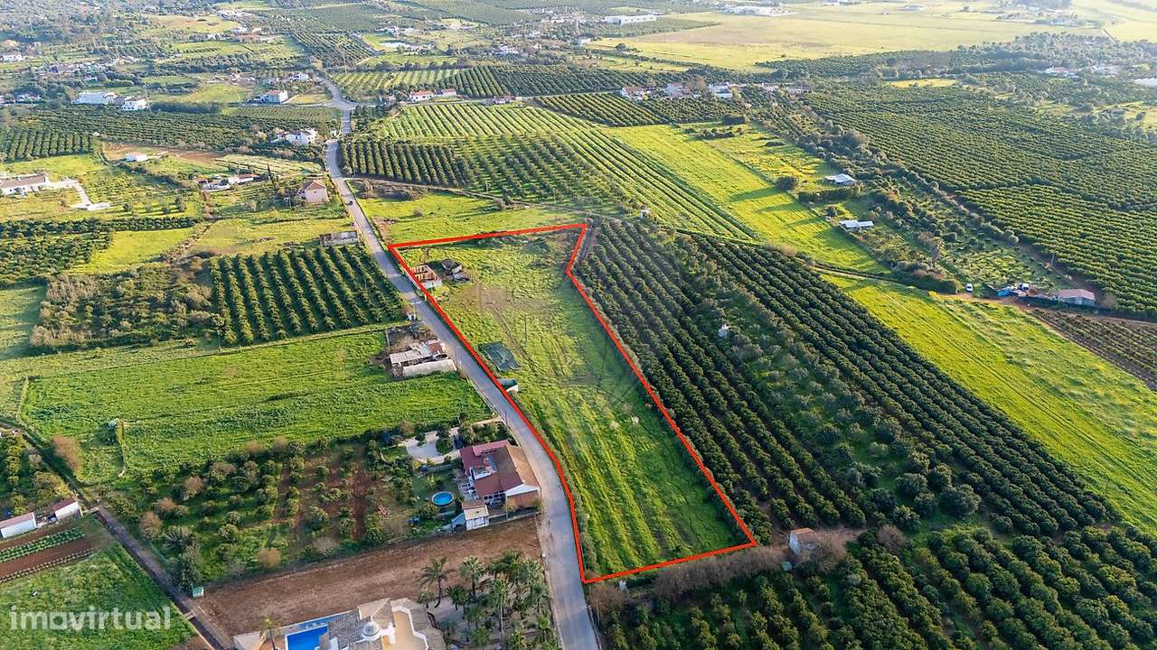 Quinta T3 para venda - Grande imagem: 4/9