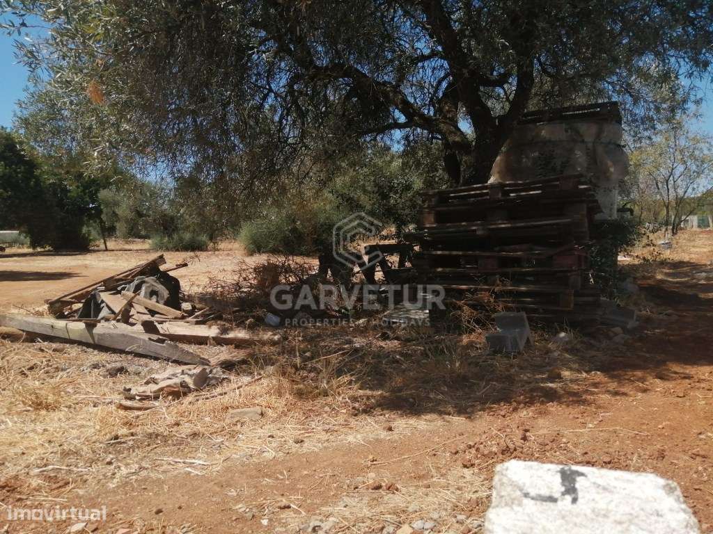 Terreno rústico, no Concelho de S. Brás de Alportel, Algarve - Grande imagem: 3/18