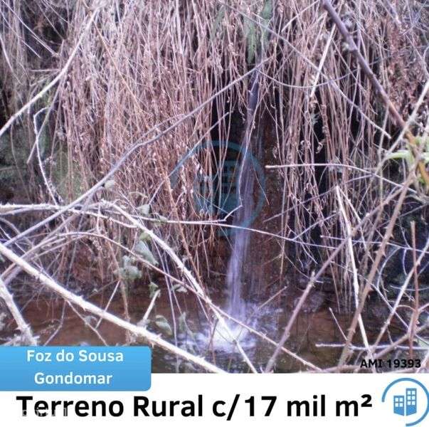 Vendo ou alugo terreno 17000m2 - Grande imagem: 5/5