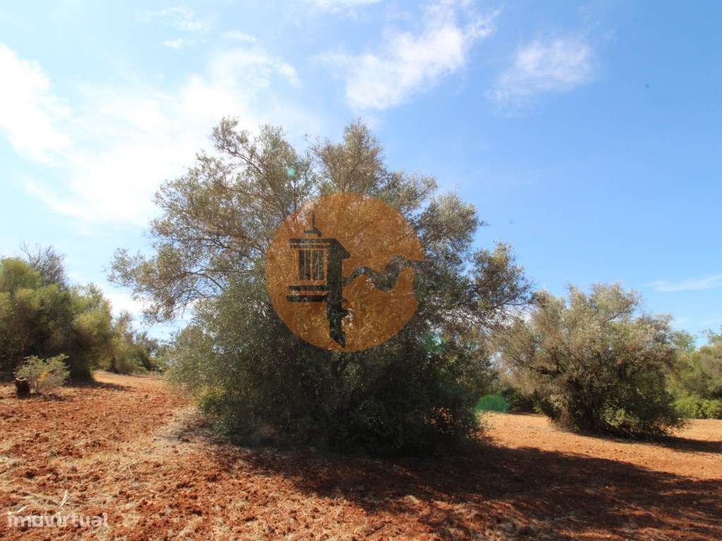 Terreno Rústico - Grande imagem: 4/23