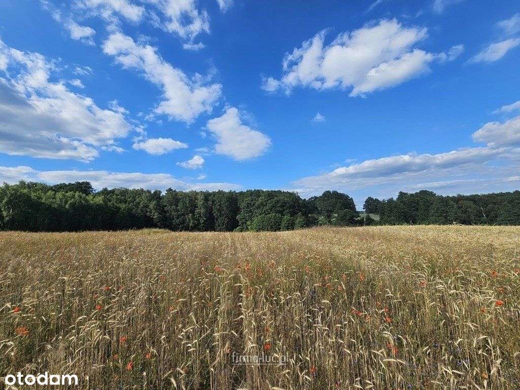 Niedaleko jeziora Polnego! Wz dla każdej działki - Pełny obrazek: 4/6