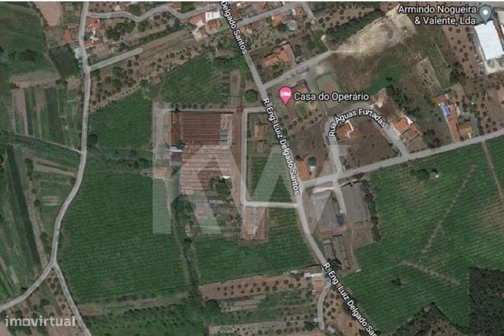 Excepcional Terreno Agrícola com Plantio Ativo de Kiwis, Sistema de Re - Grande imagem: 3/14