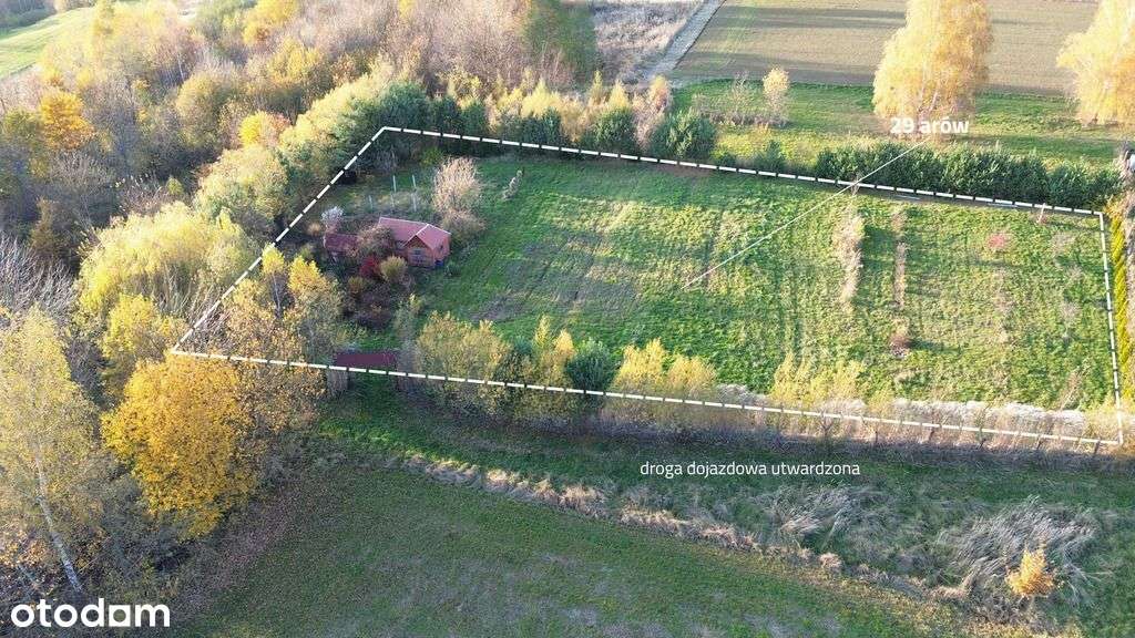 Widokowa Działka 29 Arów W Otoczeniu Lasu! - Pełny obrazek: 2/5