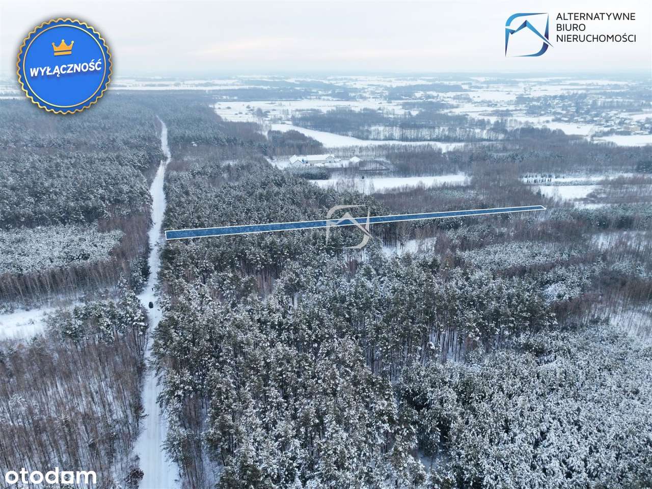 Działka leśna w miejscowości Tarło - Pełny obrazek: 5/11