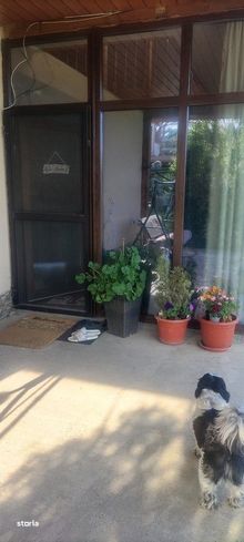Casă în Pelișor-9