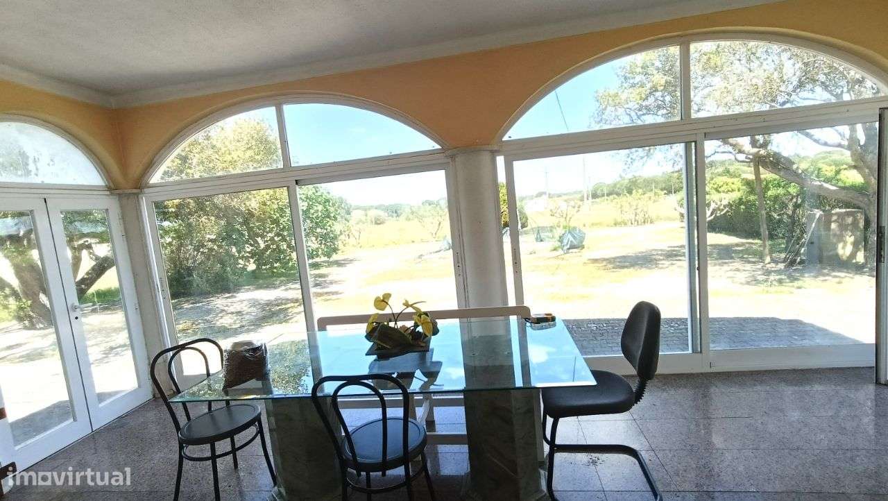 Quinta Pegões Velhos, junto á adega, com moradia e armazém lote 3,8 ha - Grande imagem: 4/60