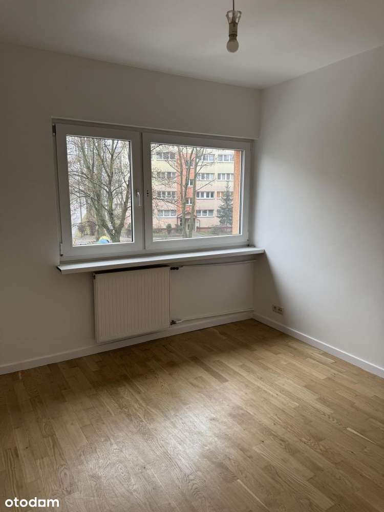 Interesująca oferta godna uwagi ####-6