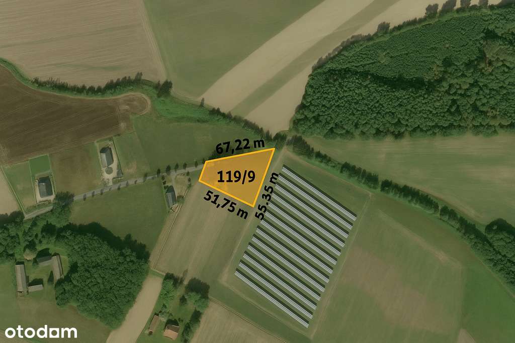 Działka 1681 m² – otoczona lasem i łąkami - Pełny obrazek: 5/9
