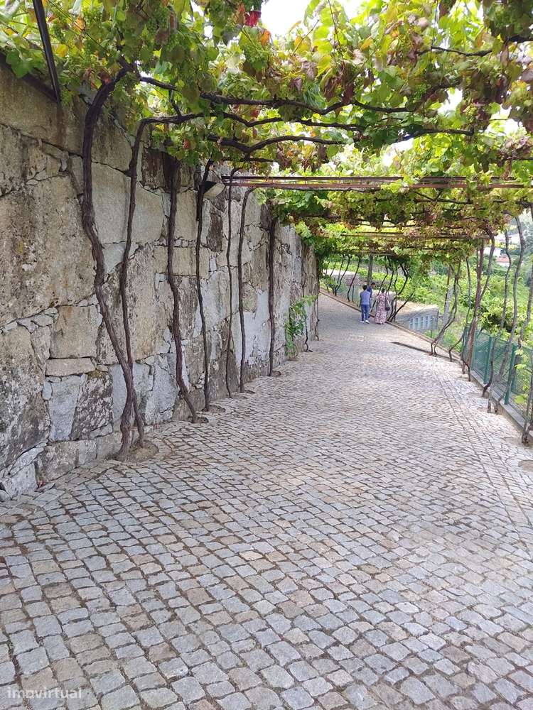 Quinta T7 Venda em Fornos,Castelo de Paiva-13