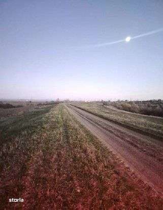 Teren extravilan cota parte 1/5, Golaiesti, ID: R2838330-0