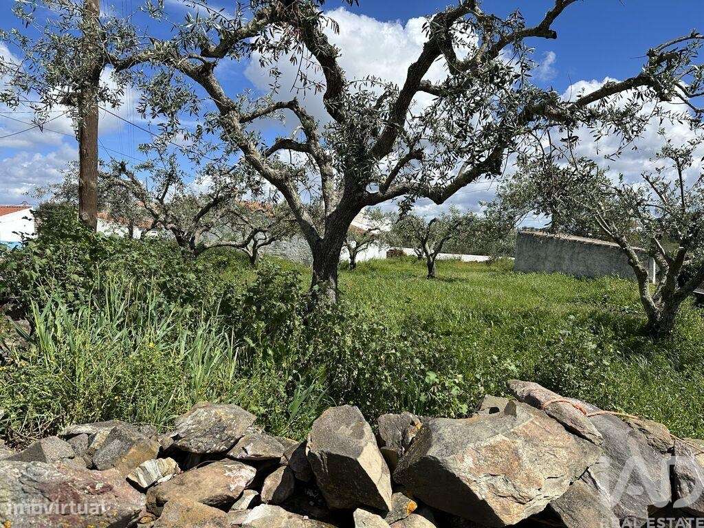 Terreno em Santa Cruz de 645,00 m2 - Grande imagem: 5/8