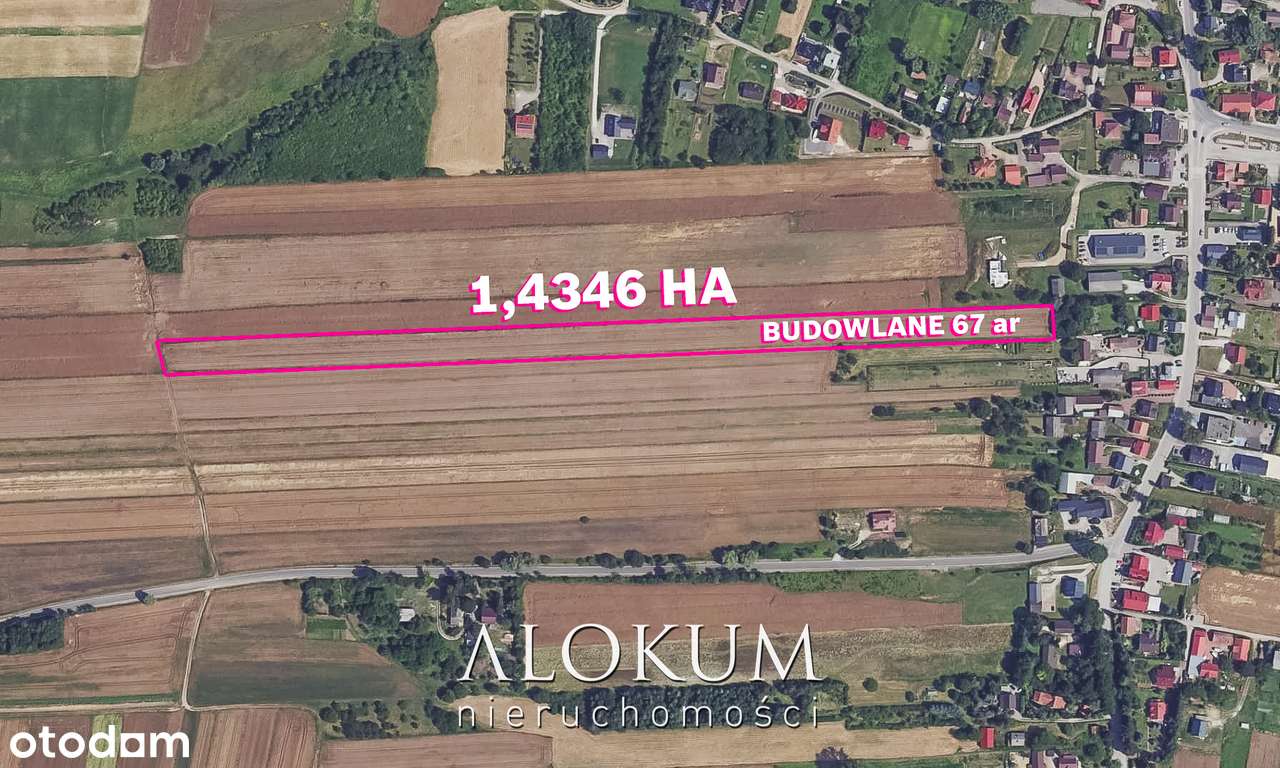 Duża działka rolno-budowlana 1,43 ha (67 ar budowlane)! Okazja cenowa! - Pełny obrazek: 1/7
