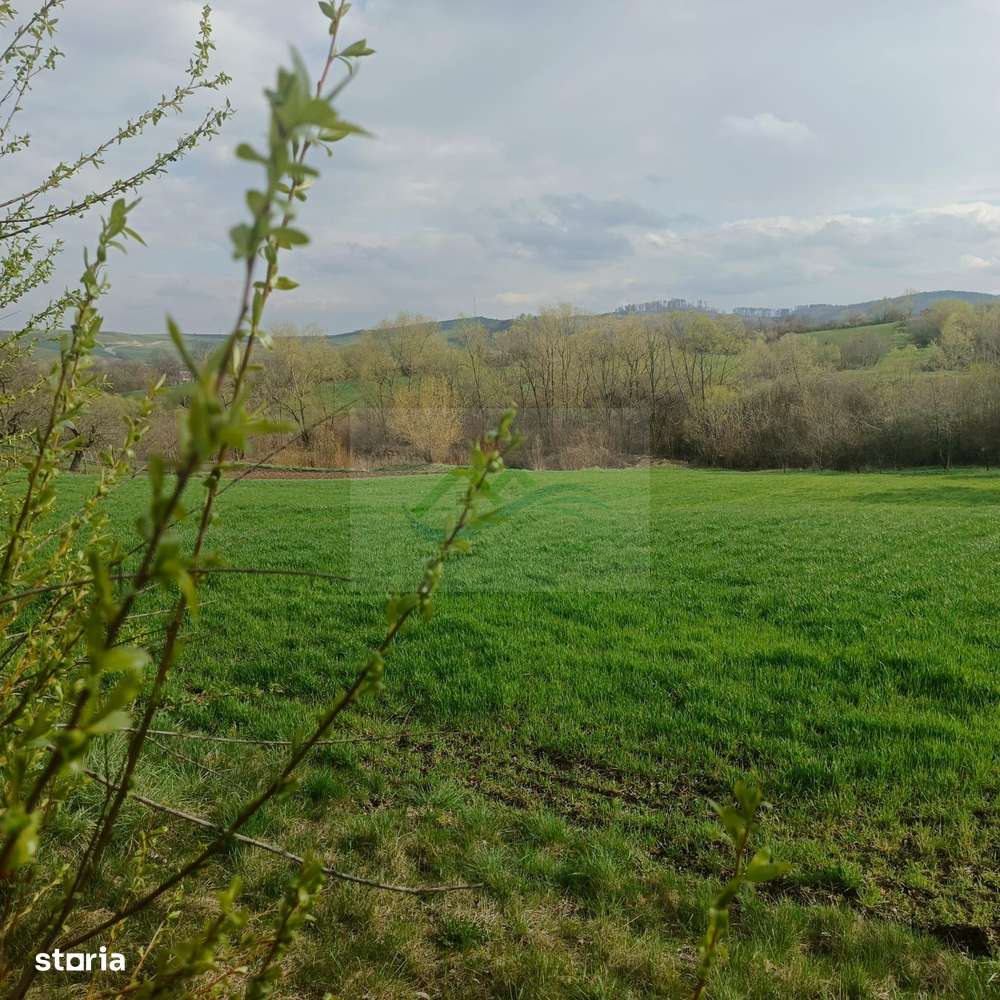 Teren intravilan Ilișești/Suceava - Imagine principală: 2/5