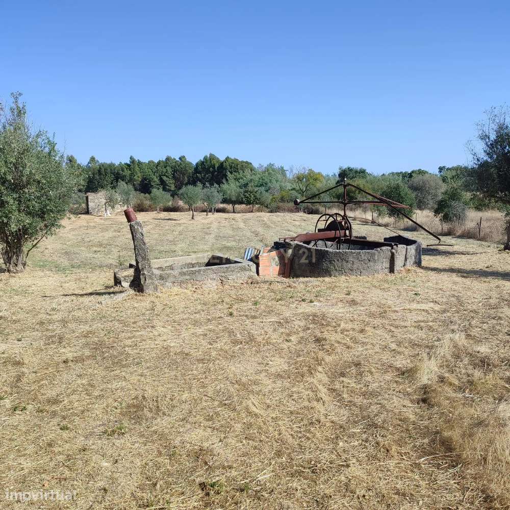 Terreno Rústico com  2250m2 na Lardosa, Castelo Branco - Grande imagem: 2/9
