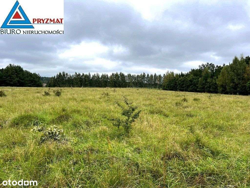 Kolonia Maruny - Działki Do Sprzedaży!-3