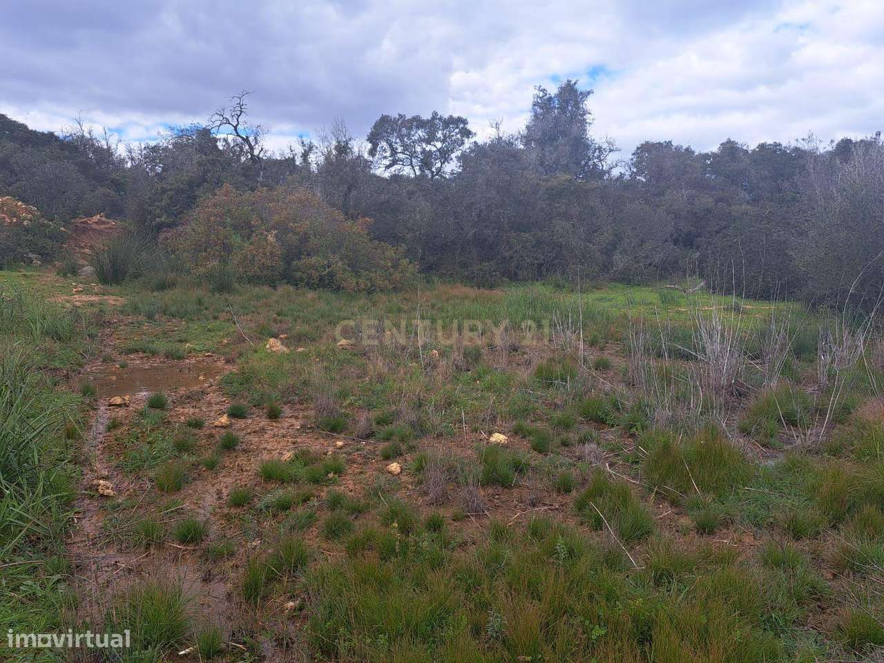 Terreno Rústico com 13.920 m² - Grande imagem: 5/11