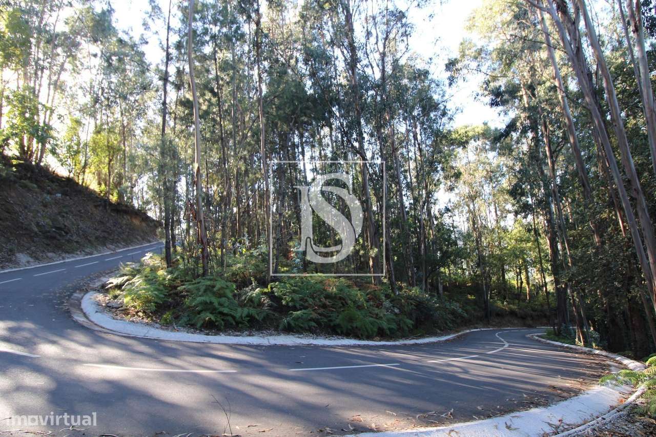 Terreno em Rebordelo - Grande imagem: 2/5