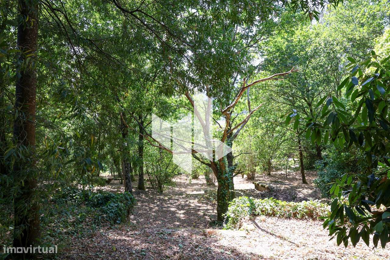 Quinta T6+3 Venda em Castelões,Tondela-33