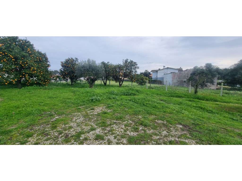 Terreno para construção, bem localizado, zona tranquila e com bons ... - Grande imagem: 2/21