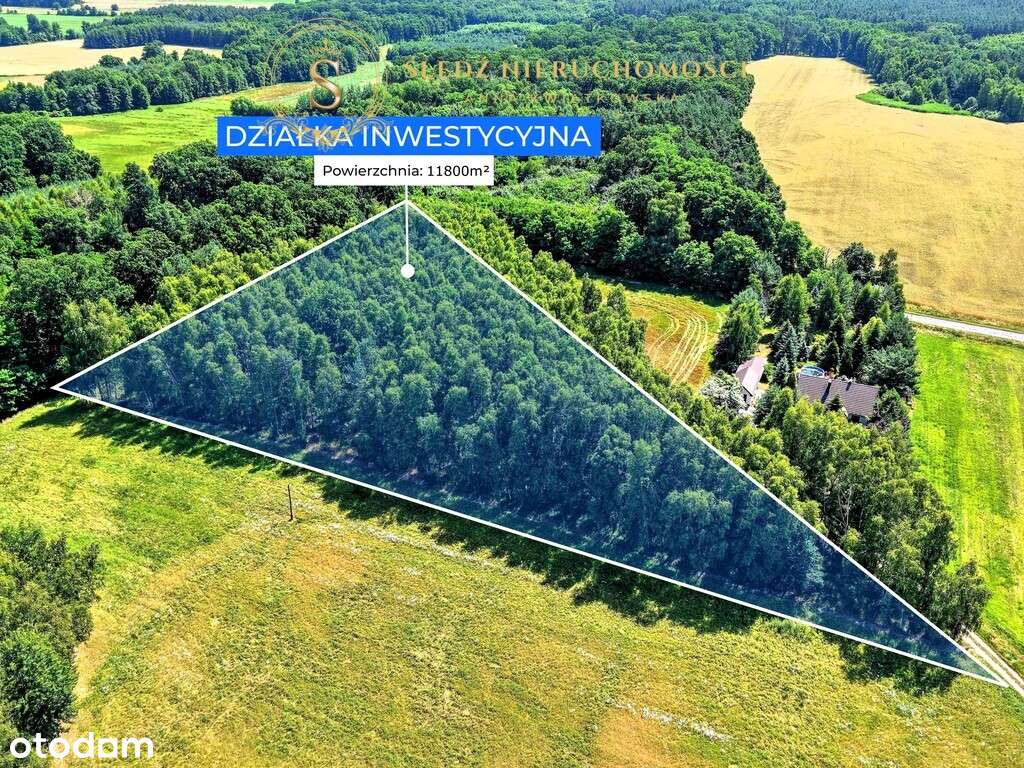 1,2 ha Działka Budowlana 45 min od Wrocławia + Las-4