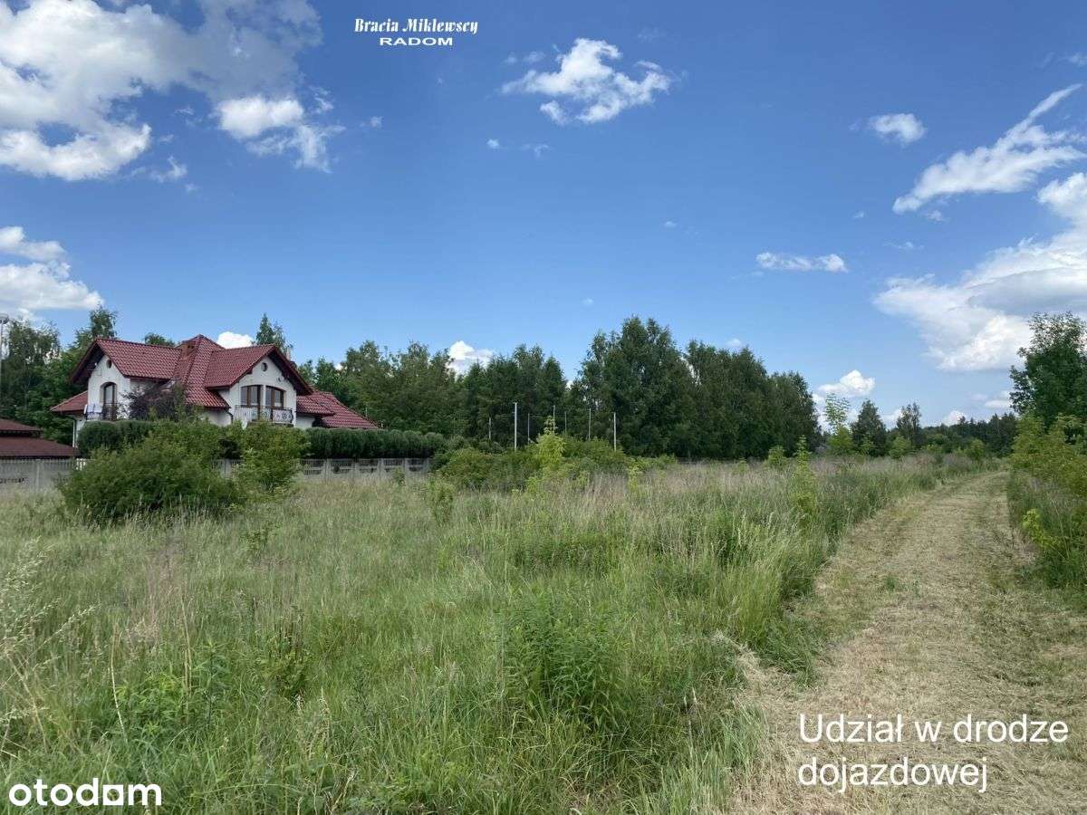 działka budowlana blisko lasu - Pełny obrazek: 4/6