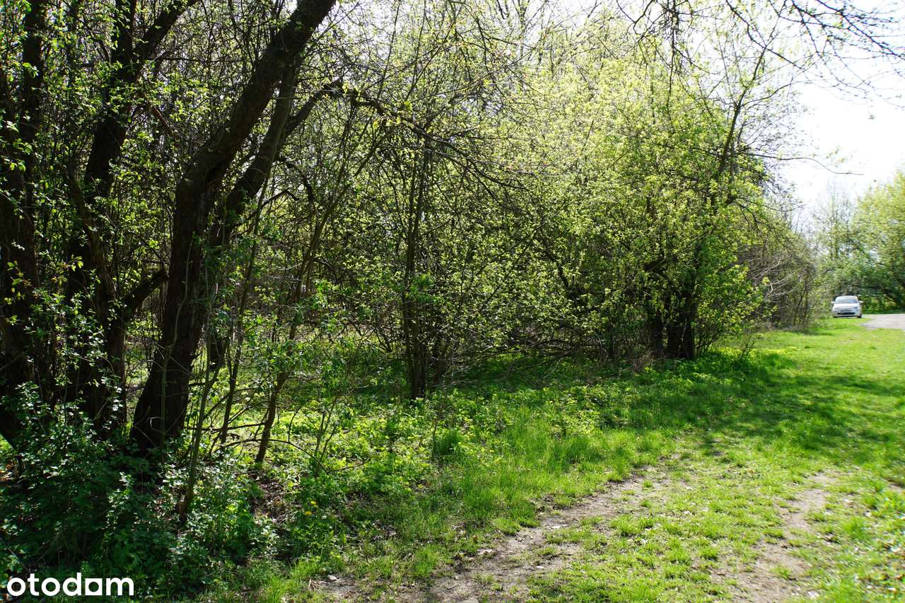 Działka, 820.0 m², Sulejówek-4