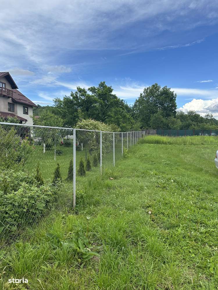 CORNU  - teren intravilan 800 mp - 68 Euro/mp - Imagine principală: 5/5