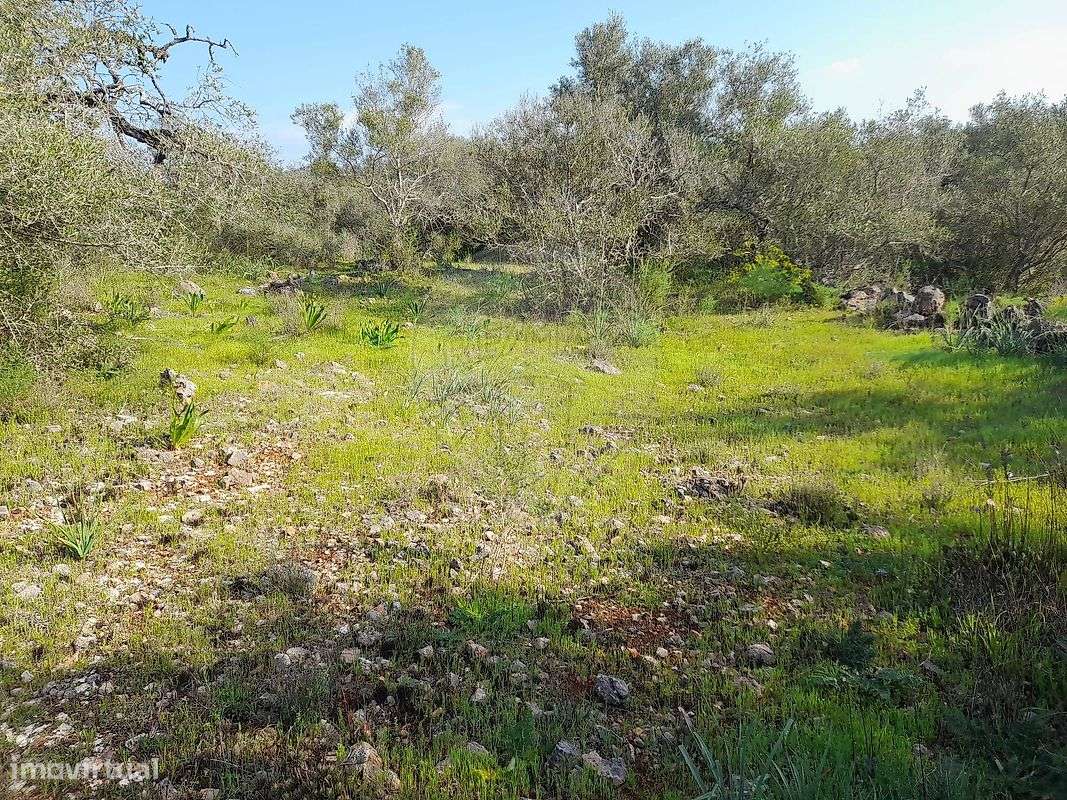 Terreno  para venda - Grande imagem: 5/18