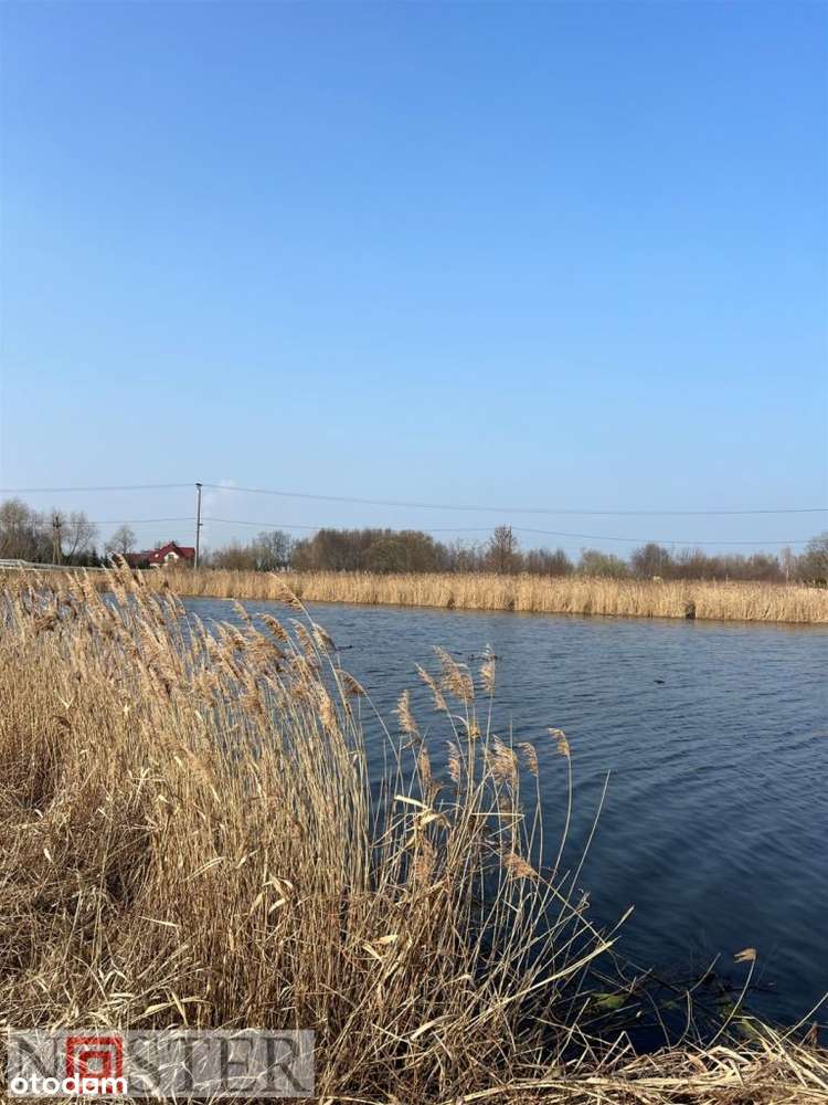 Wilanów - działka nad jeziorem-14