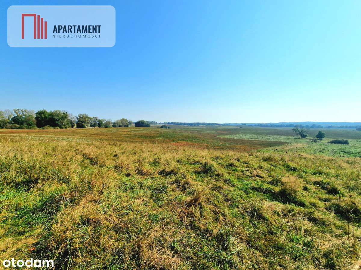 Tylko u Nas! 110 ha w jednym kawałku! Nowa cena! - Pełny obrazek: 5/16