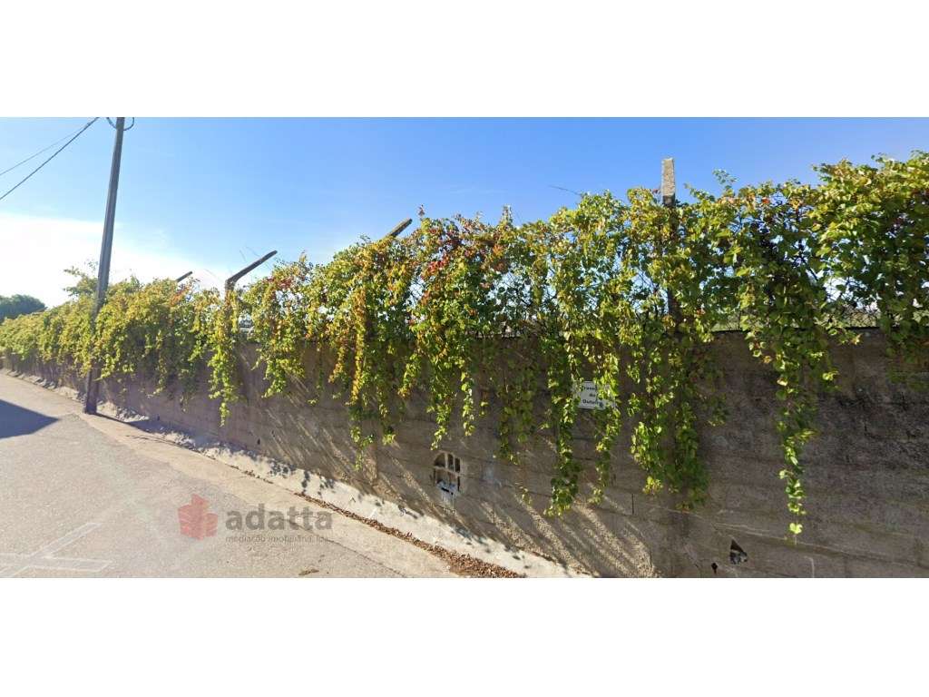 Oportunidade Imperdível! Pequena Quinta em Sandelgas, Coimbra | Unm...-5